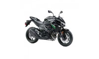 Buy 2013-2016 Kawasaki Ninja Z800 Fairings