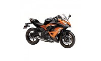 Buy 2017-2019 Kawasaki Ninja EX650 Fairings