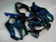 Buy 2001-2003 Blue Flames Honda CBR600 F4i Bike Fairings Buy 2001-2003 Blue Flames Honda CBR600 F4i Bike Fairings
