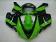 Buy 2005-2006 Green Black Kawasaki ZX6R Motorbike Fairing