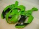 Buy 2007-2008 Green Black Dunlop Kawasaki ZX6R Motorbike Fairing Kits Buy 2007-2008 Green Black Dunlop Kawasaki ZX6R Motorbike Fairing Kits