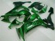 Buy 2008-2010 Green Flame Kawasaki ZX10R Bike Fairings Buy 2008-2010 Green Flame Kawasaki ZX10R Bike Fairings